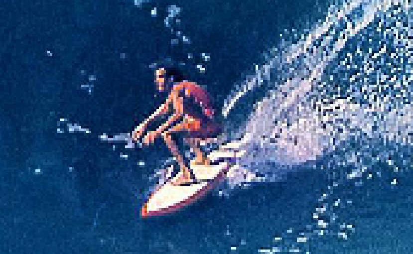 THE GREAT: Michael Peterson surfs Kirra in 1975. THE GREAT: Michael Peterson surfs Kirra in 1975.